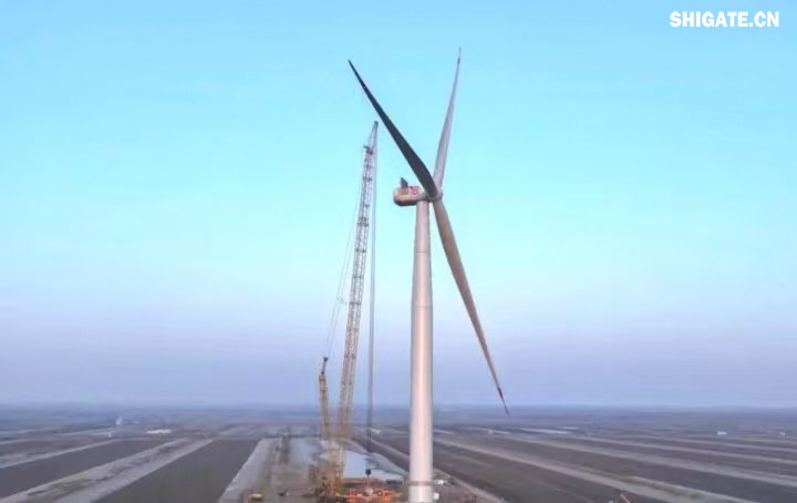 1月11日，全球最大功率等級的漂浮式風電機組——中國中車“啟航號”在山東東營風電裝備測試認證創(chuàng)新基地吊裝成功，標志著我國在海上超大型風機的探索邁出重要一步。該項目風電機組的配套塔筒是全球直徑最大、重量最重的塔筒型號，所用鋼板由河鋼集團舞鋼公司獨家提供。  微信圖片_20250220083217.jpg  舞鋼公司深入貫徹集團要求，以客戶需求為導向，大力開展技術營銷，不斷優(yōu)化營銷方案，通過提供“一攬子”解決方案，滿足高端客戶對高品質產品和未來發(fā)展的需求，加速由生產型向“制造+服務”型企業(yè)轉變。該項目對產品抗沖擊性能及表面質量有著極為嚴苛的要求，且交貨期較短，生產難度相當大。為確保合同順利交付，舞鋼公司產線各單位協同聯動，強化工藝和生產過程控制，攻克了高強度與高延伸率匹配、低溫沖擊韌性匹配等一系列技術難題，確保了產品各項指標全部滿足客戶要求，并按期交付客戶。  微信圖片_20250220083224.jpg  “啟航號”20MW漂浮式海上風電塔筒是專門為20MW及以上海上漂浮式風機提供系統解決方案而設計的，是全球最大功率漂浮式風電機組的配套塔筒，總高度為141.15米，最大直徑12米，重量達到了1576噸。
